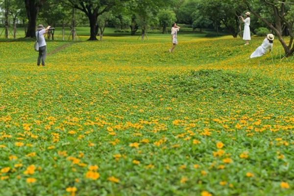 中山哪里適合春游的地方 中山哪里適合春游的地方