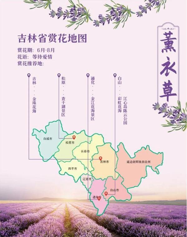 吉林省賞花的地方有哪些 吉林省賞花的地方有哪些