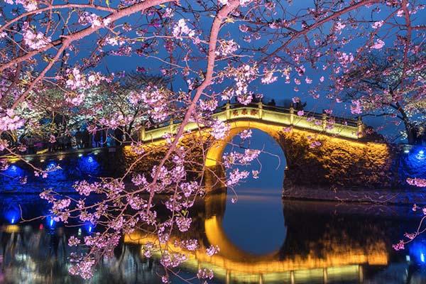 2024無(wú)錫黿頭渚賞櫻花攻略 附最佳時(shí)間及賞櫻路線 2024無(wú)錫黿頭渚賞櫻花攻略 附最佳時(shí)間及賞櫻路線