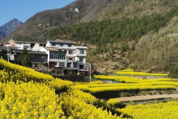 西安周邊踏青賞花的地方有哪些 西安周邊踏青賞花的地方有哪些