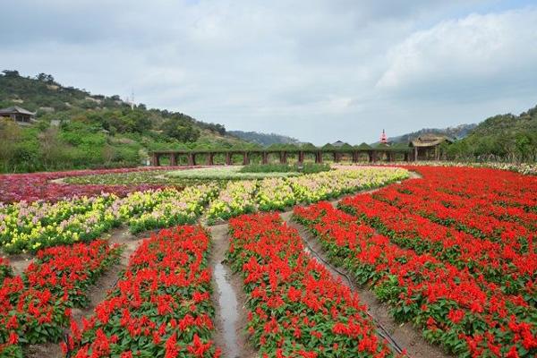 2024丹櫻生態(tài)園開放時間 2024丹櫻生態(tài)園開放時間
