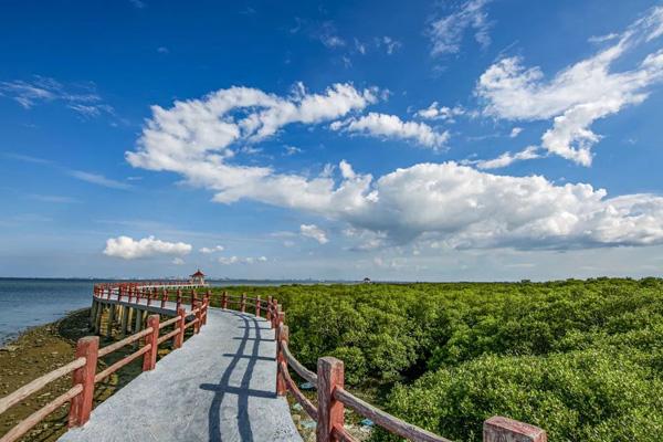 湛江哪里適合春游 湛江哪里適合春游