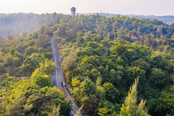 湛江哪里適合春游 湛江哪里適合春游