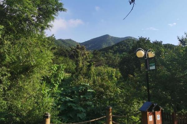 威海賞花路線怎么走 威海賞花路線怎么走