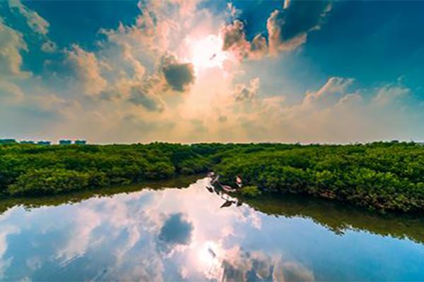 2024富力紅樹灣濕地公園門票優(yōu)惠政策 2024富力紅樹灣濕地公園門票優(yōu)惠政策