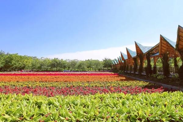 2024丹櫻生態(tài)園門(mén)票價(jià)格 2024丹櫻生態(tài)園門(mén)票價(jià)格