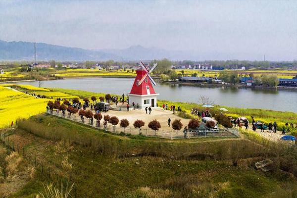 2024陜西漢中油菜花什么時候開 附賞花路線 2024陜西漢中油菜花什么時候開 附賞花路線