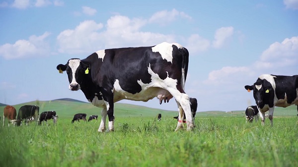 每天都是“3?15”:金領(lǐng)冠22年專業(yè)護航中國寶寶健康成長(圖2) 每天都是“3?15”:金領(lǐng)冠22年專業(yè)護航中國寶寶健康成長(圖2)