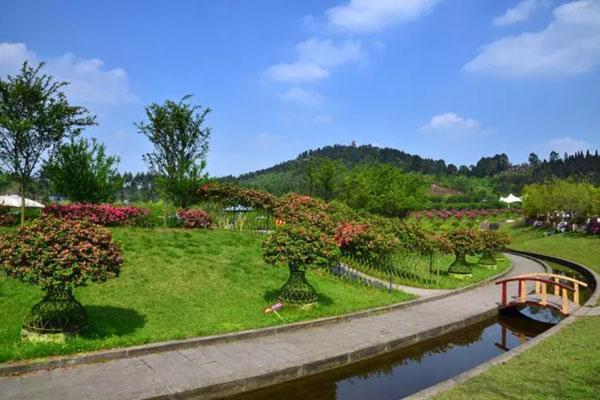 新津花舞人間游玩攻略 一日游攻略 新津花舞人間游玩攻略 一日游攻略