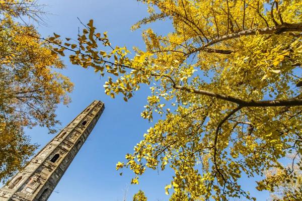 2024上海天馬山公園門票優(yōu)惠政策 2024上海天馬山公園門票優(yōu)惠政策