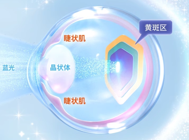 
			首創(chuàng)兒童立體護(hù)眼，inne藍(lán)光盾葉黃素全面防藍(lán)光保護(hù)視力領(lǐng)先一步
		(圖1)