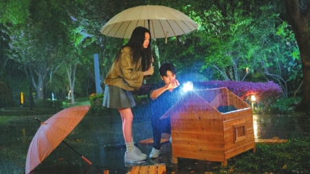 導(dǎo)演：愛(ài)情故事更輕松和喜劇化(圖2)