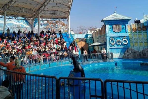 西安華夏文旅海洋公園怎么走 西安華夏文旅海洋公園怎么走