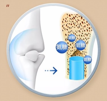 科普氨糖軟骨素鈣片養(yǎng)護(hù)原理及氨糖軟骨素鈣片正確吃法(圖2) 科普氨糖軟骨素鈣片養(yǎng)護(hù)原理及氨糖軟骨素鈣片正確吃法(圖2)