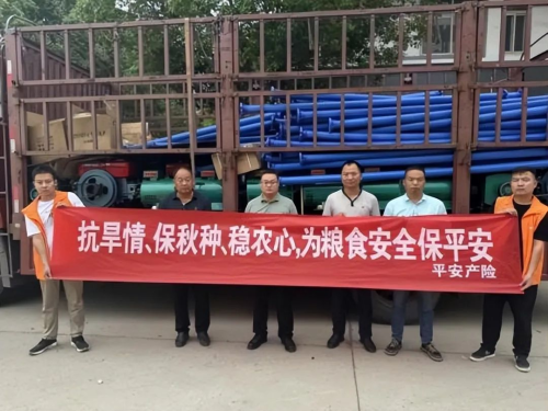 南澇北旱態(tài)勢持續(xù)，平安產(chǎn)險多措并舉做好防汛抗旱工作(圖7)