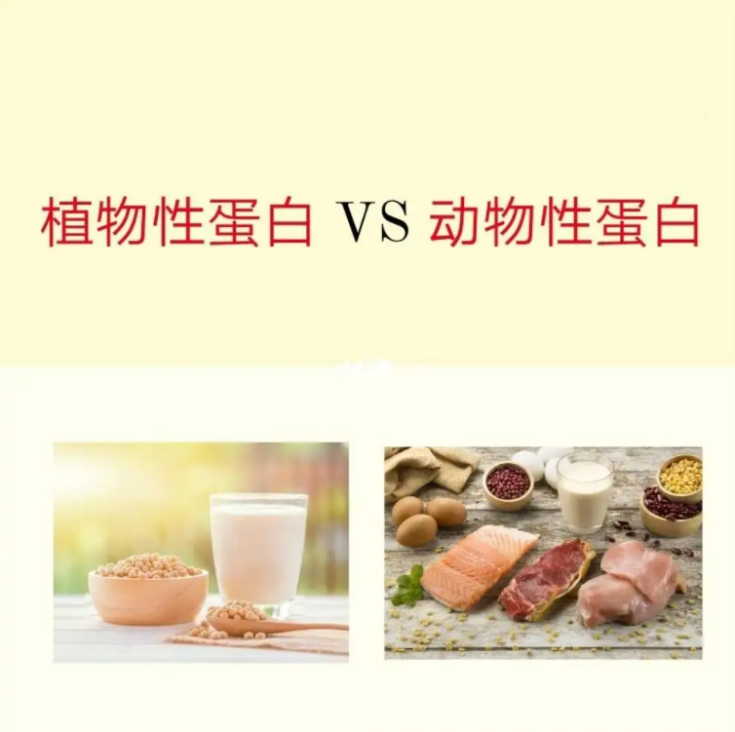 幫助補(bǔ)充蛋白質(zhì)，湯臣倍健雙蛋白粉守護(hù)健康(圖2)