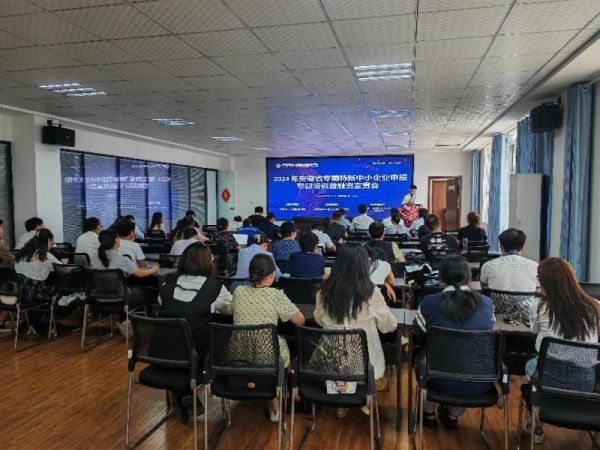 肥東縣組織召開(kāi)2024年安徽省專精特新中小企業(yè)申報(bào)專題培訓(xùn)暨融資宣貫會(huì)(圖1) 2024062620573234032187