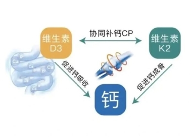 缺鈣怎么補(bǔ)？液體鈣有用嗎？鈣片哪個(gè)牌子好(圖3)