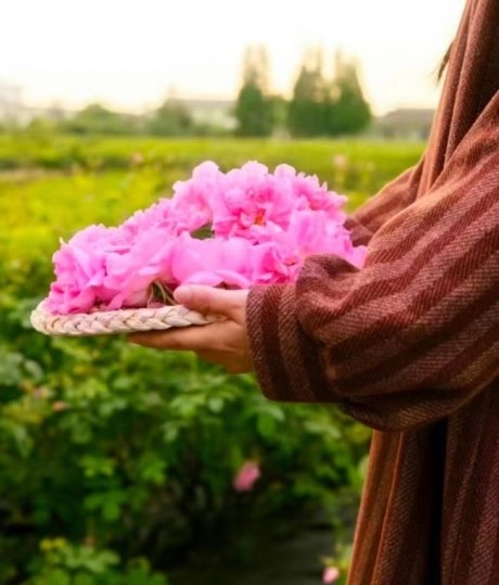 玫莉蔻素顏霜與貴婦膏，邂逅自然偽素顏，共赴玫瑰與美的約會(圖1)