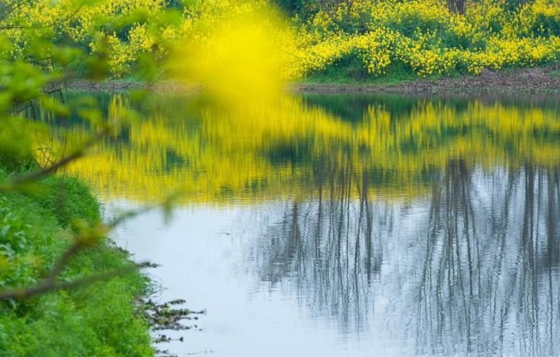 四季貴賓來人間一趟，感受四季的輪回