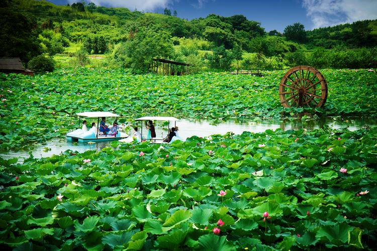 四季貴賓來人間一趟，感受四季的輪回(圖2)