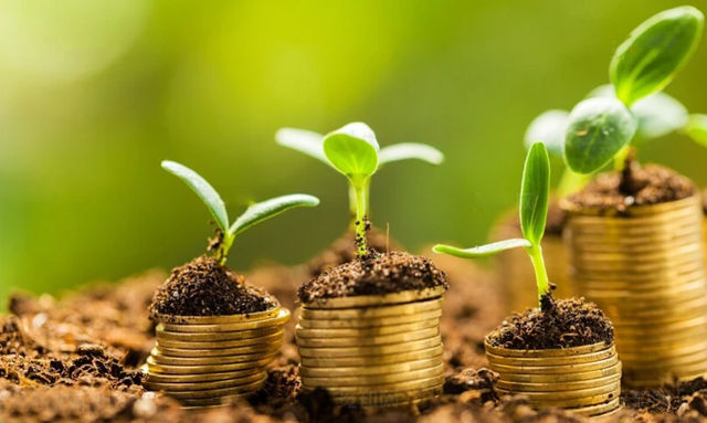 速看!人生第一個100萬他們是這樣賺到的(圖5) 速看!人生第一個100萬他們是這樣賺到的(圖5)