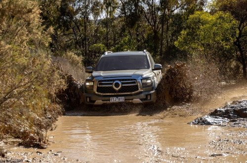 200輛新車交付坦桑尼亞 長城炮引領(lǐng)中國皮卡實力出海(圖5) 200輛新車交付坦桑尼亞 長城炮引領(lǐng)中國皮卡實力出海(圖5)
