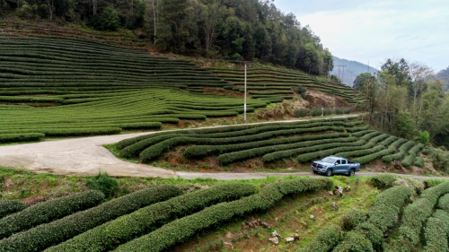 新年開(kāi)工就選金剛炮8AT 好開(kāi)、好用、好省心 助力用戶(hù)高效創(chuàng)富(圖3)