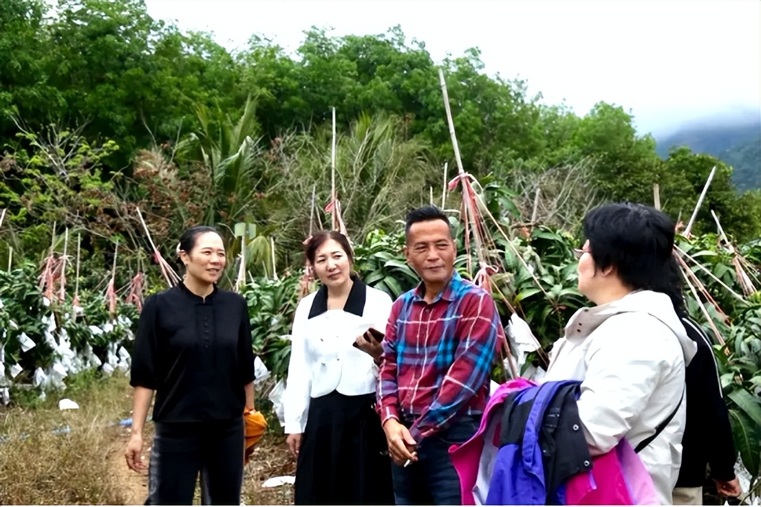 山海聯(lián)動！晉瓊康養(yǎng)新生態(tài)鏈，“健康家園”在海南！(圖10)