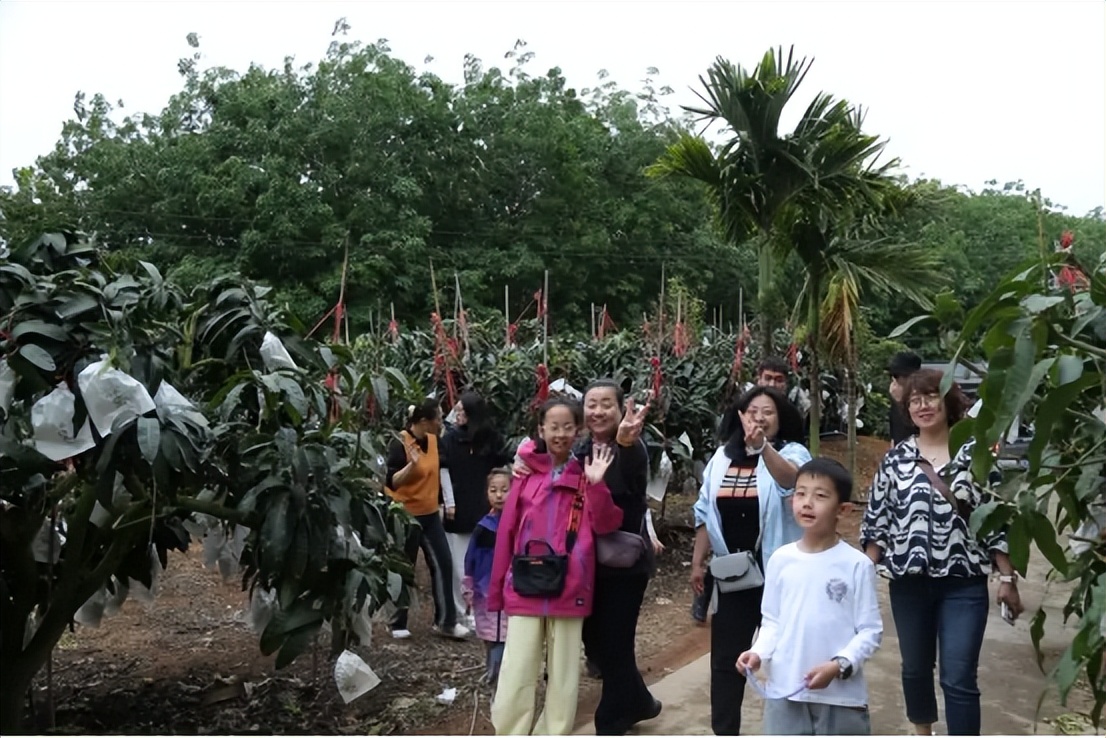 山海聯(lián)動！晉瓊康養(yǎng)新生態(tài)鏈，“健康家園”在海南！(圖19)