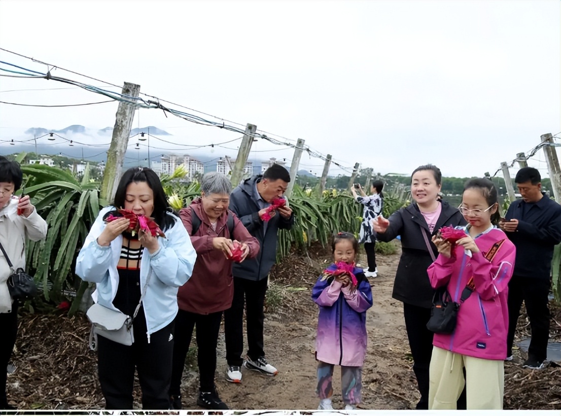 山海聯(lián)動！晉瓊康養(yǎng)新生態(tài)鏈，“健康家園”在海南！(圖20)