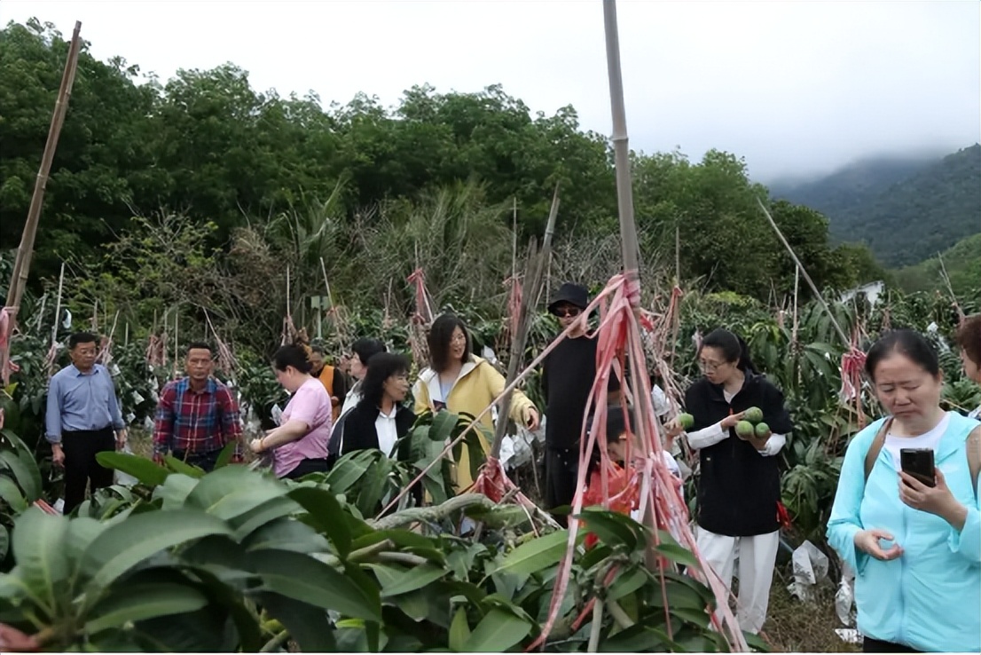 山海聯(lián)動！晉瓊康養(yǎng)新生態(tài)鏈，“健康家園”在海南！(圖24)