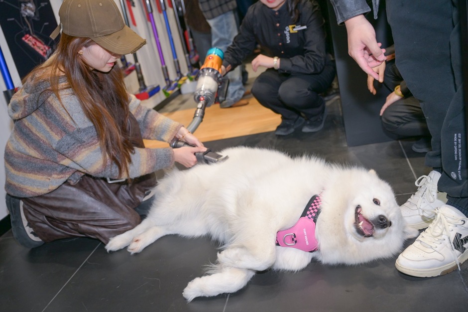 戴森發(fā)布《中國(guó)養(yǎng)寵家庭健康清潔電器白皮書》 助力構(gòu)建健康舒適的“寵愛家”(圖4) 戴森發(fā)布《中國(guó)養(yǎng)寵家庭健康清潔電器白皮書》 助力構(gòu)建健康舒適的“寵愛家”(圖4)