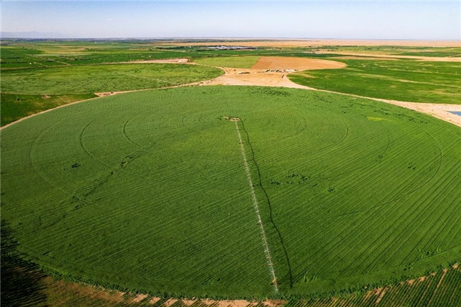 綠色乳業(yè)革命：從沙漠治理到燈塔工廠