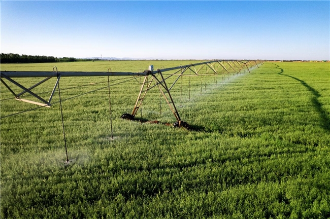 特侖蘇沙漠有機(jī)：定義高端牛奶新品類(圖4)