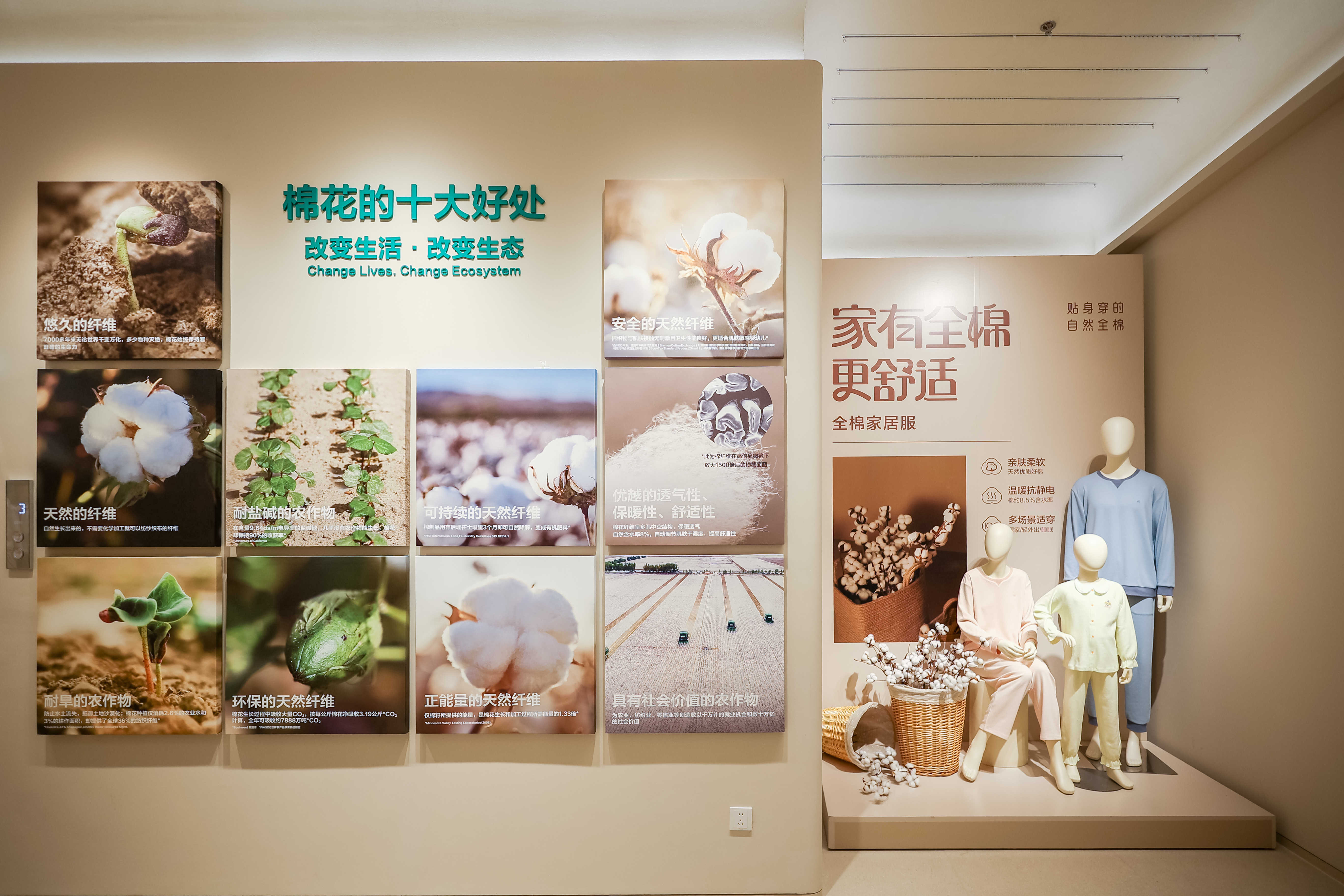 「棉」延江城，全棉時代首家全球旗艦店落地武漢(圖5)