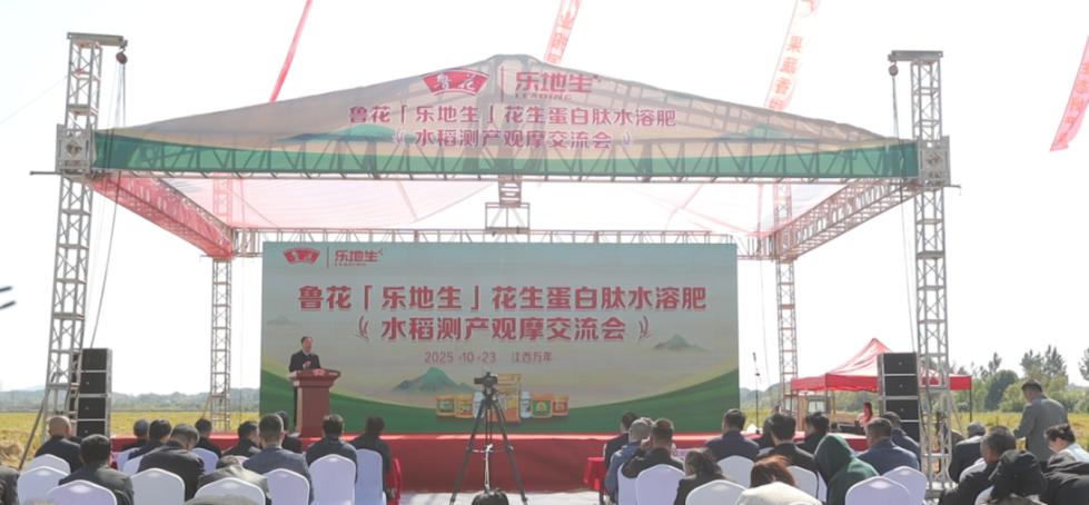 魯花“樂地生”花生蛋白肽水溶肥水稻測產(chǎn)觀摩會在江西萬年舉行