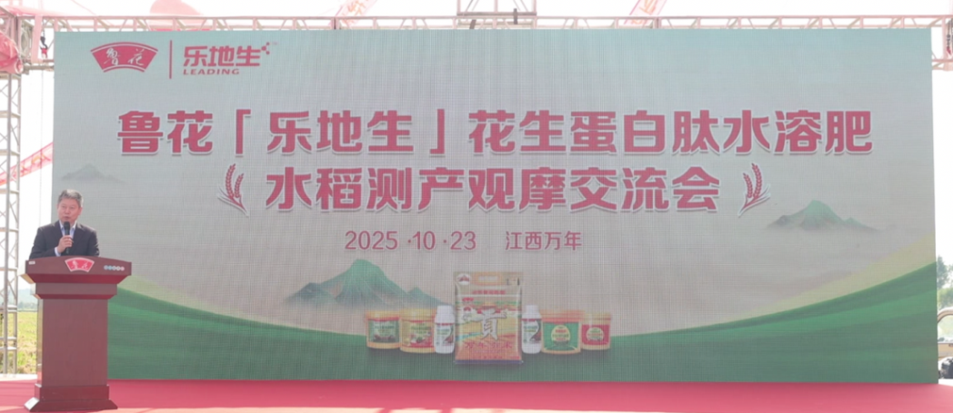 魯花“樂(lè)地生”花生蛋白肽水溶肥水稻測(cè)產(chǎn)觀摩會(huì)在江西萬(wàn)年舉行(圖8) 魯花“樂(lè)地生”花生蛋白肽水溶肥水稻測(cè)產(chǎn)觀摩會(huì)在江西萬(wàn)年舉行(圖8)