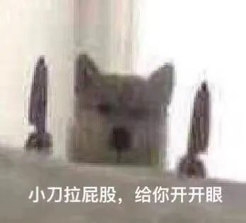 拍拍貸靠譜嗎？看看這幾方面就夠了